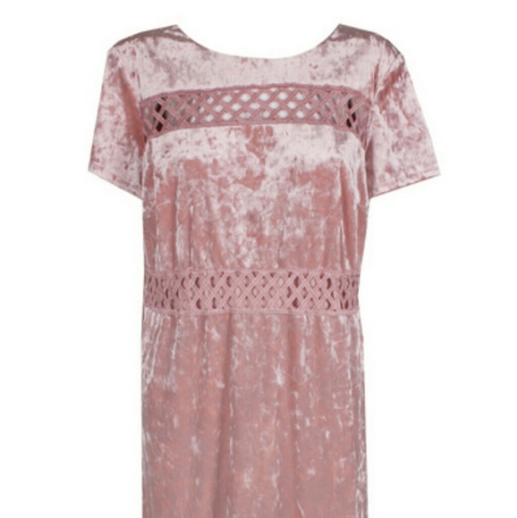 Sangria Womens Plus Size Blush ShortSleeve Crochet